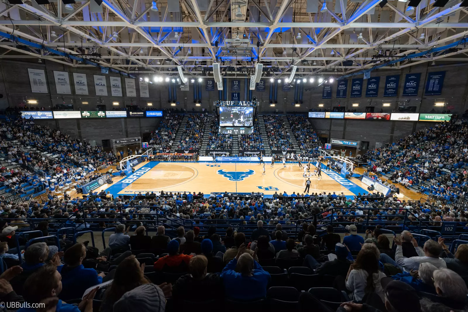 suny buffalo basketball