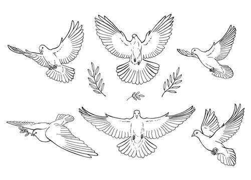 tattoo drawings of doves