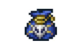 terraria treasure bag