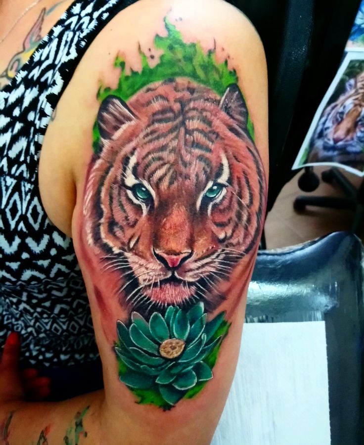 tigre tatto