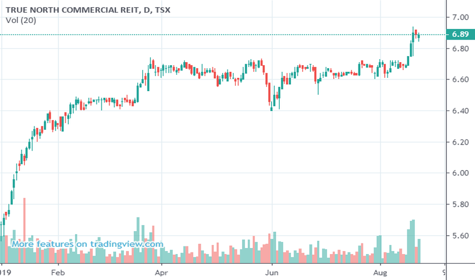 tnt.un stock