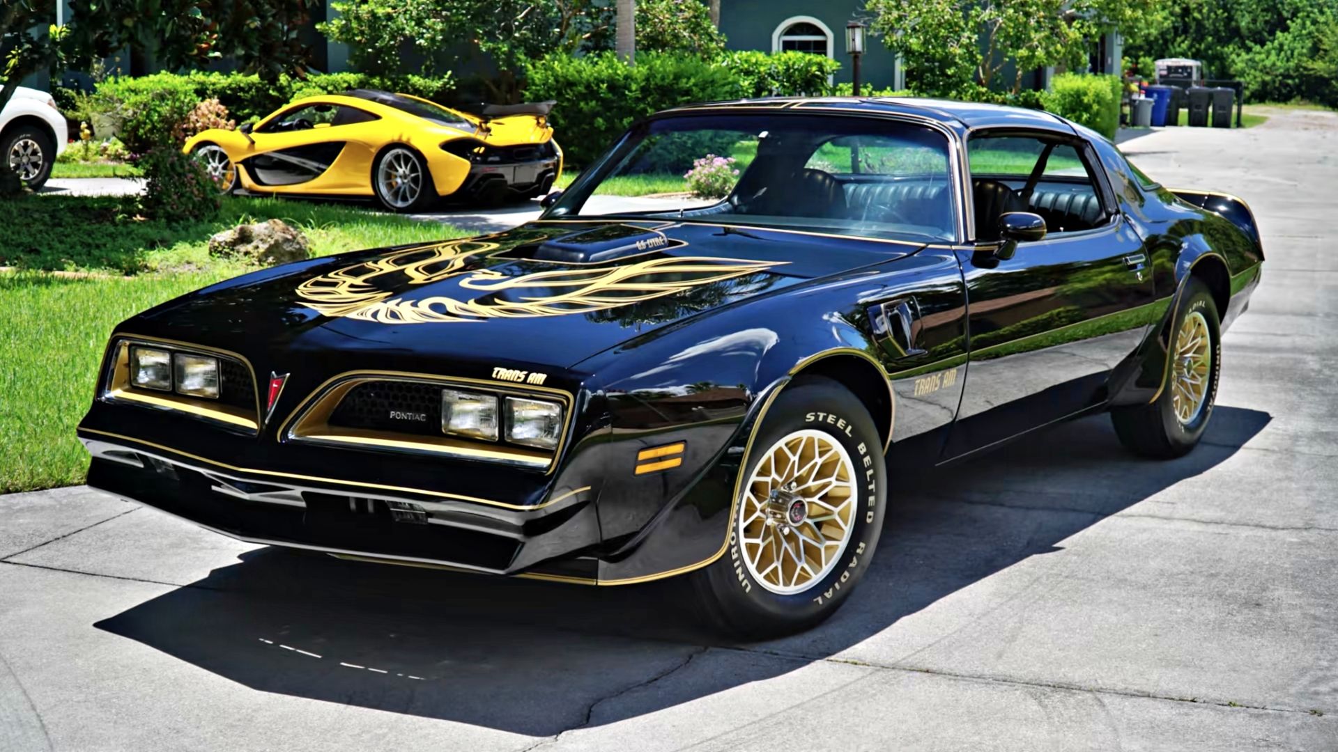 trans am