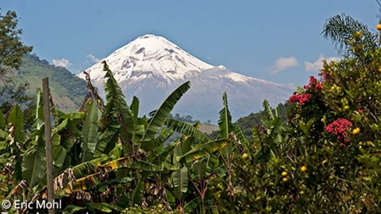 trans orizaba