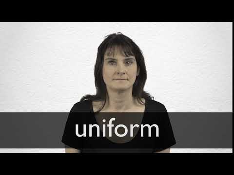 uniform thesaurus