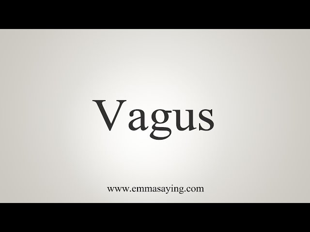 vagus nerve pronunciation