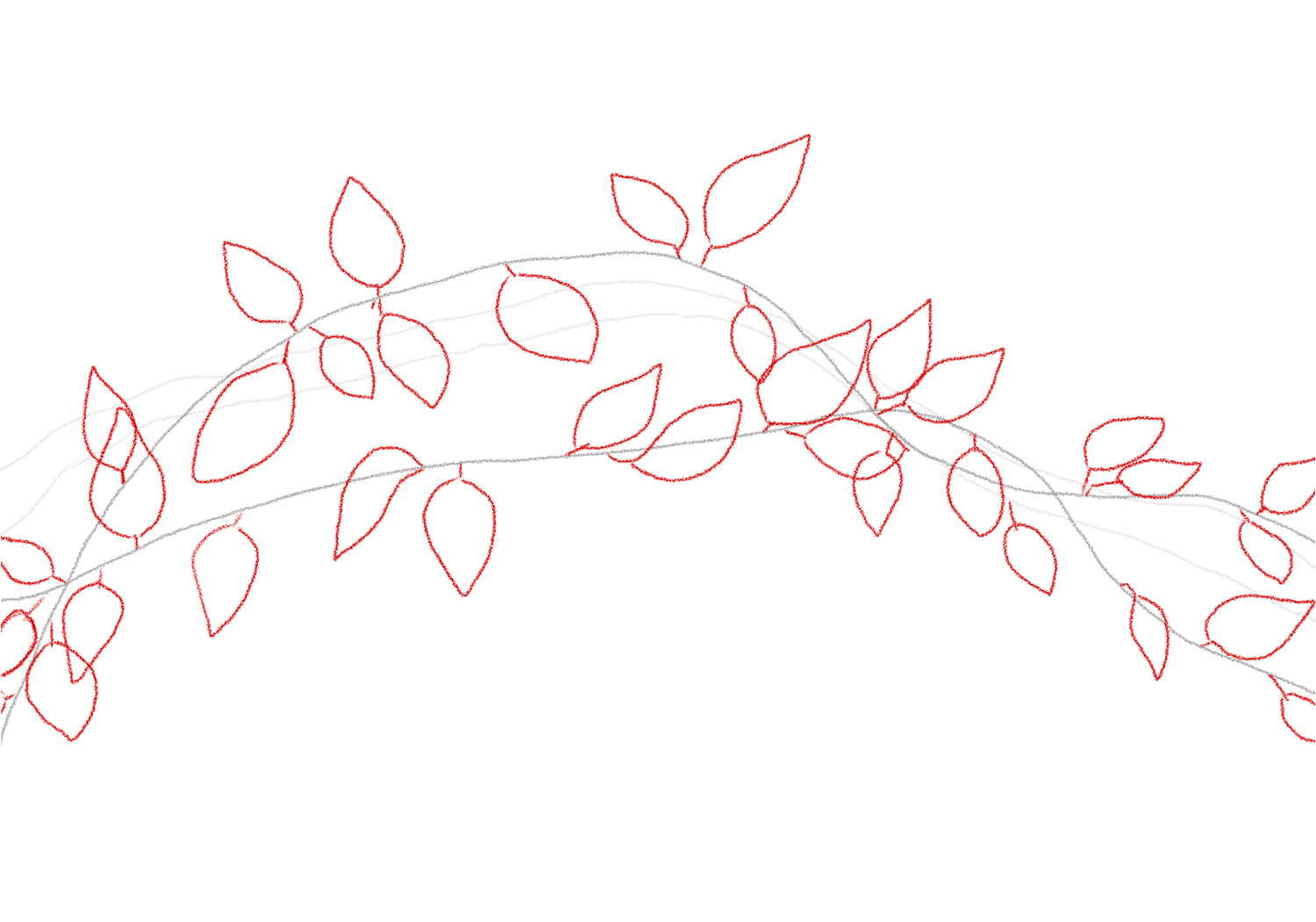 vines drawing