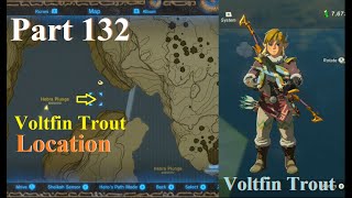 voltfin trout location botw