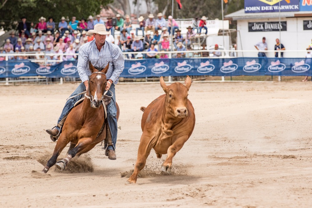 warwick rodeo tickets