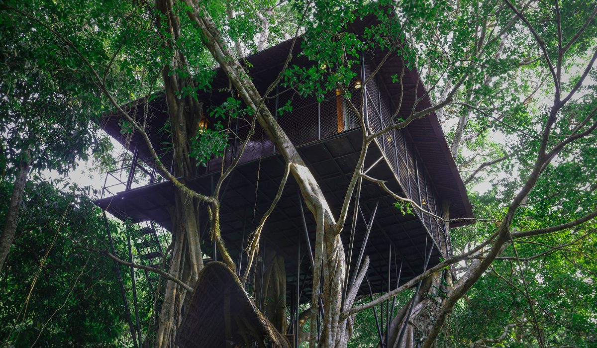 wayanad tree house low price