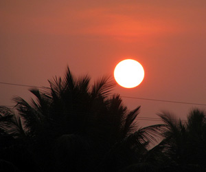 weather patiala punjab india