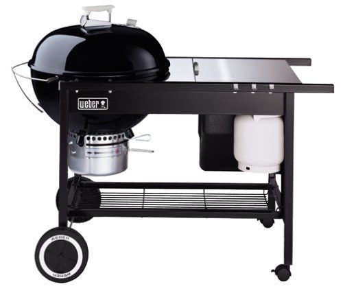 weber propane charcoal grill