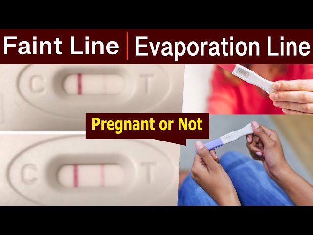 what is an evap line on pregnancy test