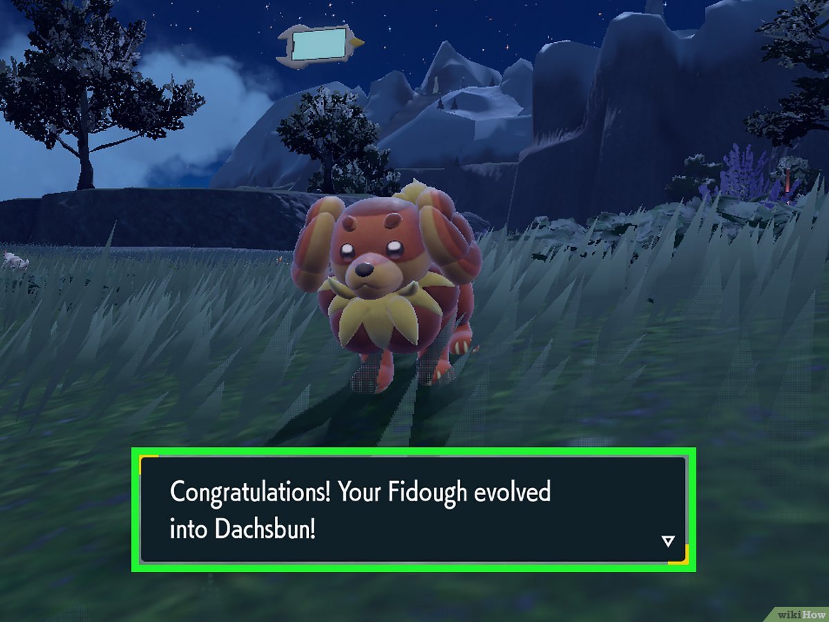 what level does fidough evolve