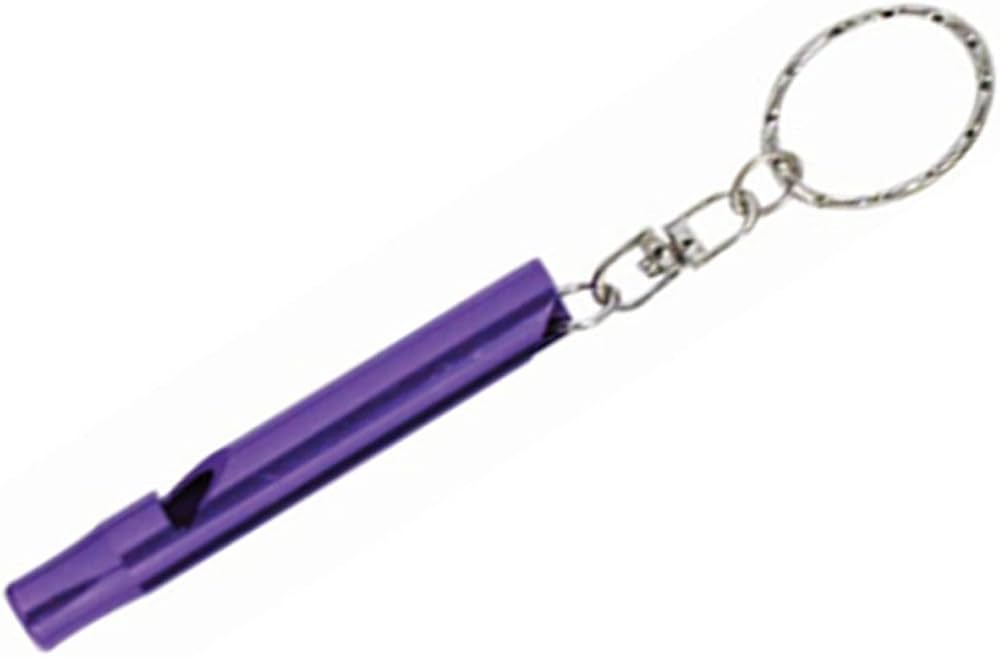 whistle keychain