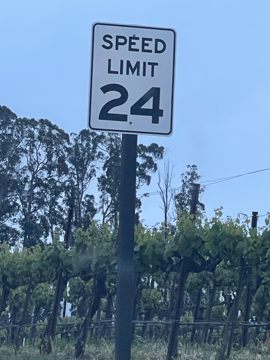 why is the speed limit 24 at opry mills