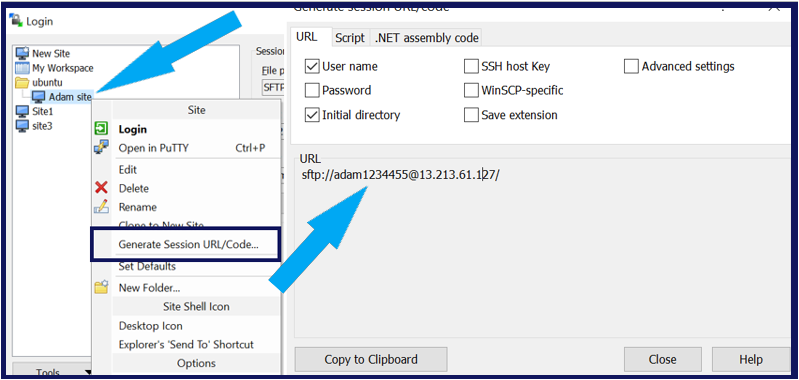 winscp command line