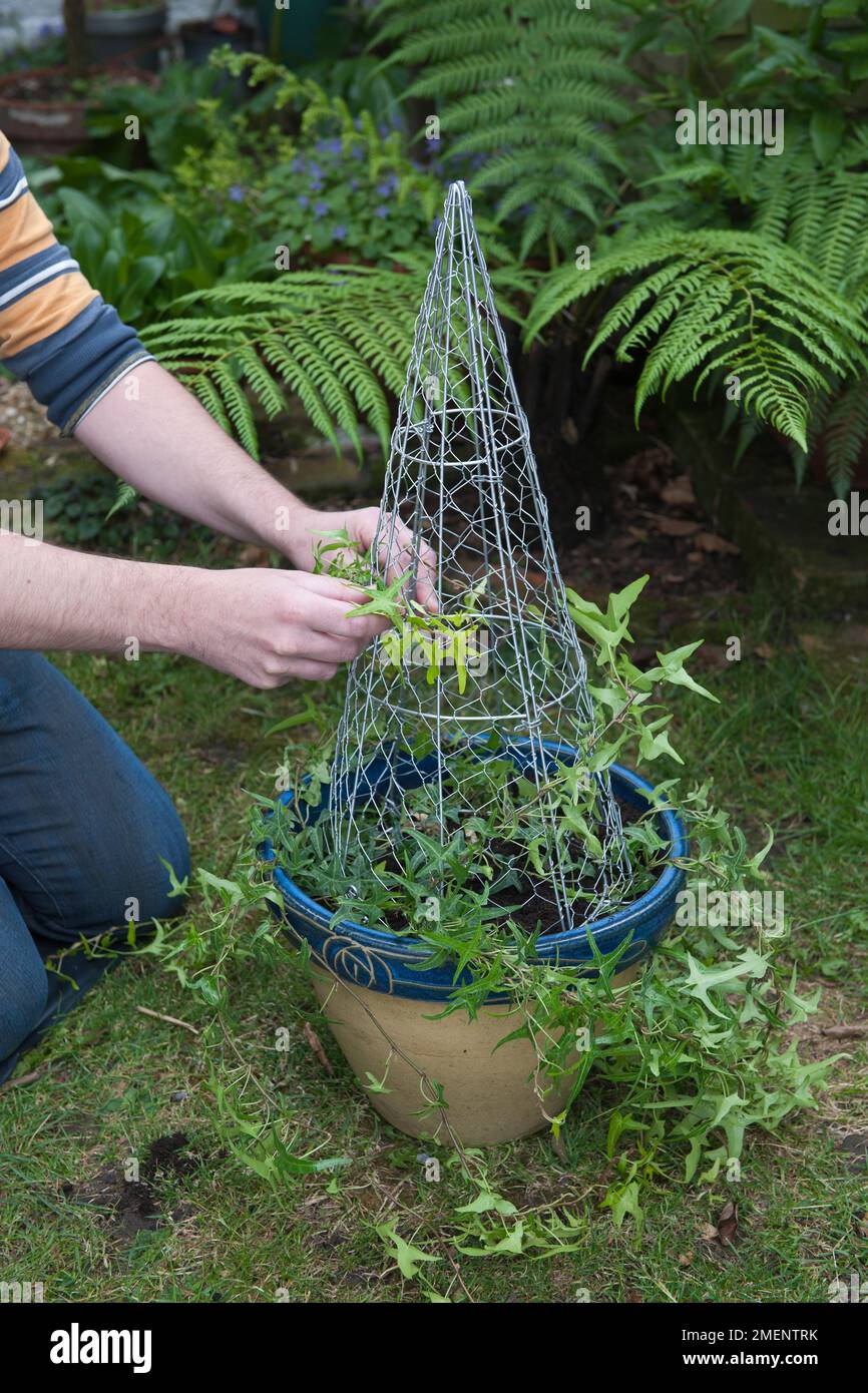 wire for topiary frame