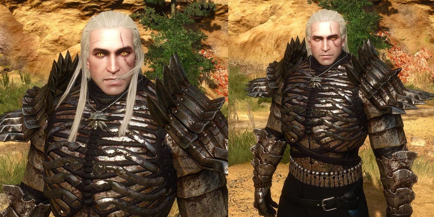 witcher 3 armor mod