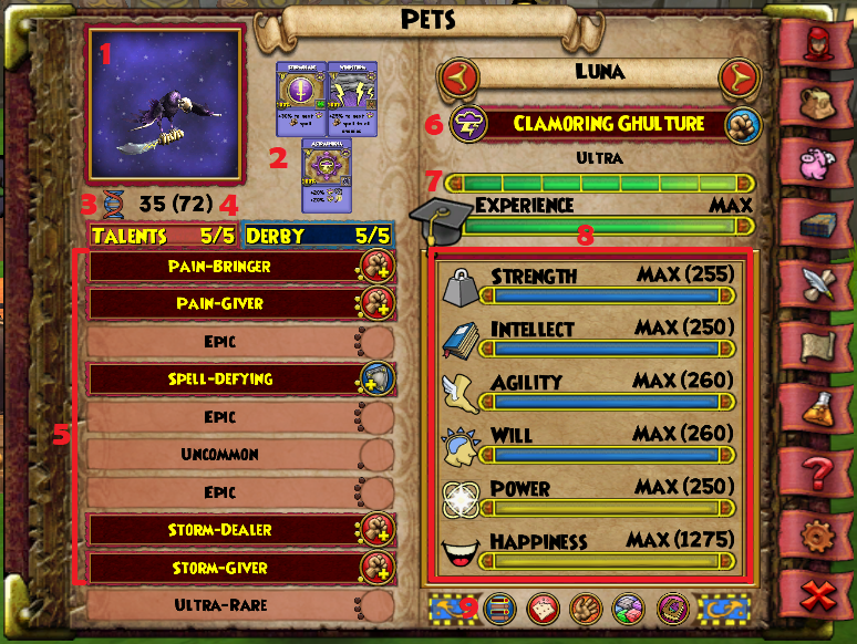 wizard101 coolest pets