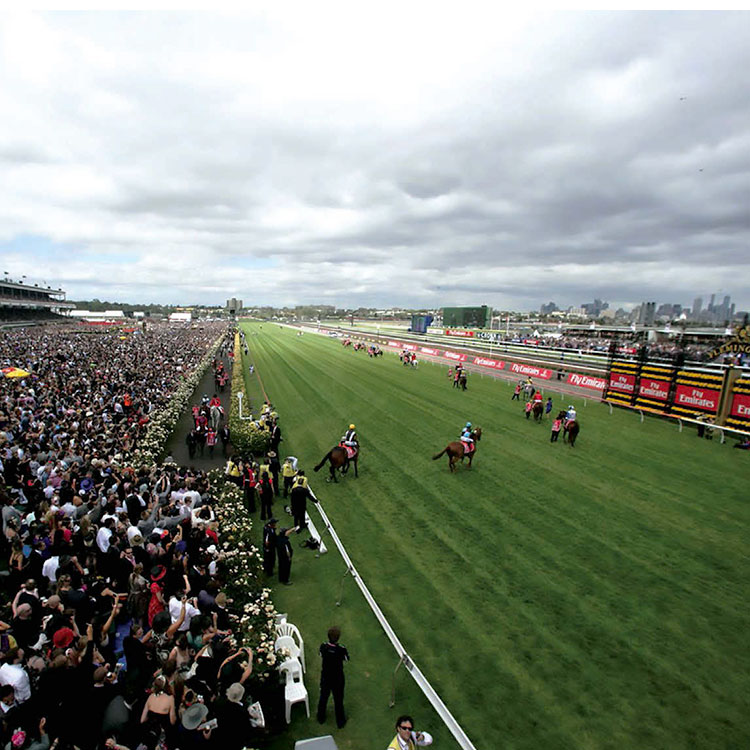 woodbine races results