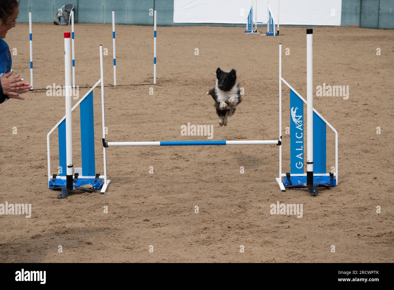 world agility open 2023