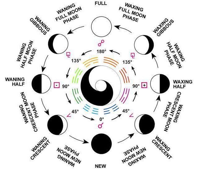 yin yang moon phases